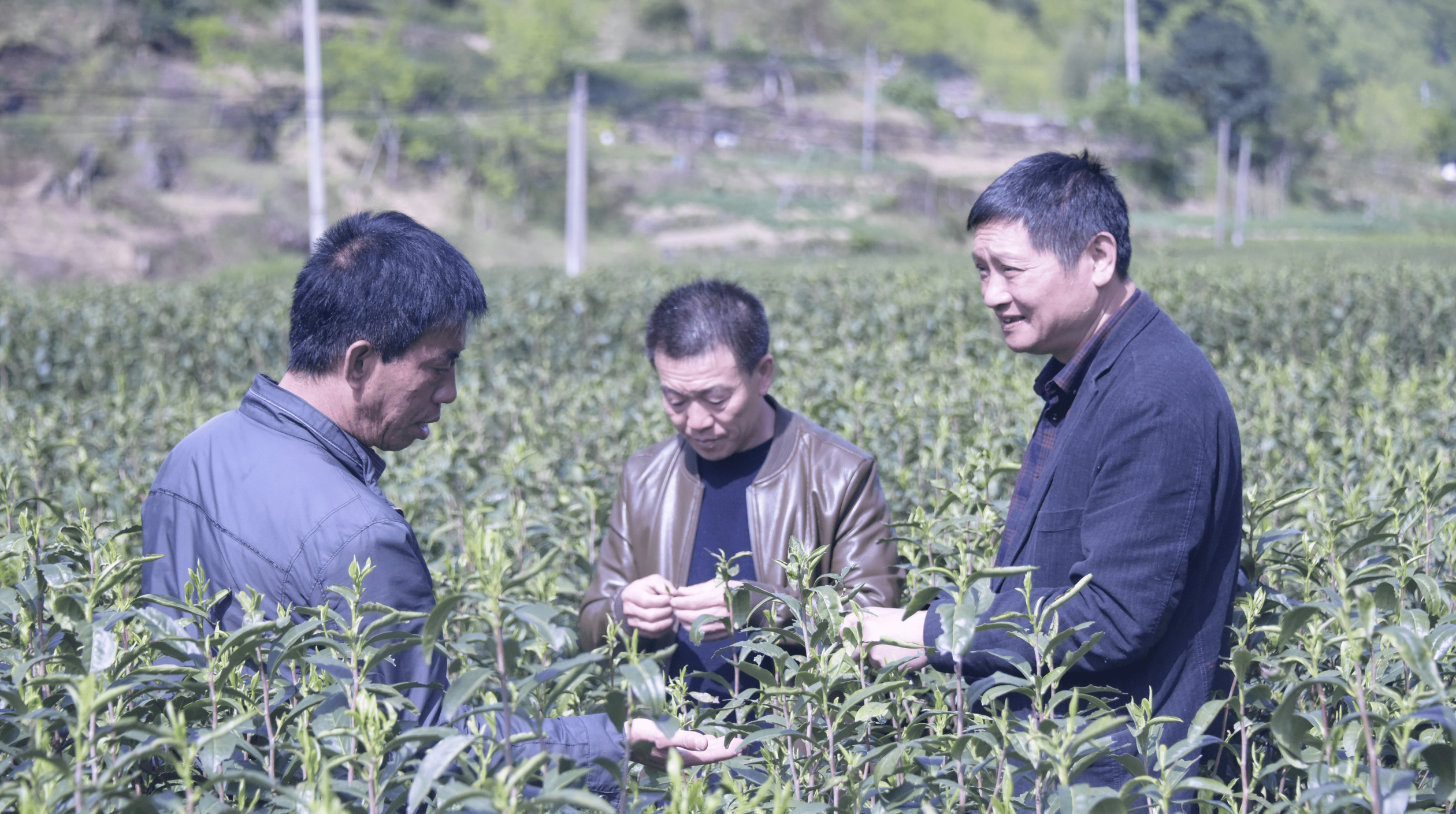 Vốn Hàng Châu